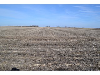 156.815+/- Acres with 147+/- Tillable Acres.  Productive soils.  South of Lowell, Indiana.  Possession at closing subject to tenant rights which expire upon harvest of 2014 crop.  

Please contact listing agent before going on property.

Tri-Creek School Corp. - 156.815+/- Acre Grain Farm