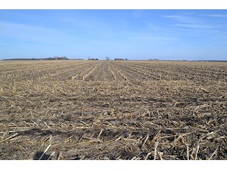 156.815+/- Acres with 147+/- Tillable Acres.  Productive soils.  South of Lowell, Indiana.  Possession at closing subject to tenant rights which expire upon harvest of 2014 crop.  

Please contact listing agent before going on property.

Tri-Creek School Corp. - 156.815+/- Acre Grain Farm