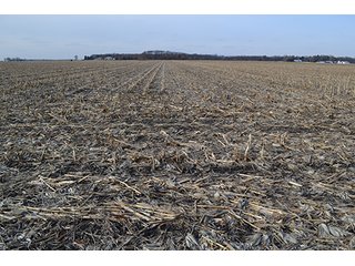 156.815+/- Acres with 147+/- Tillable Acres.  Productive soils.  South of Lowell, Indiana.  Possession at closing subject to tenant rights which expire upon harvest of 2014 crop.  

Please contact listing agent before going on property.

Tri-Creek School Corp. - 156.815+/- Acre Grain Farm