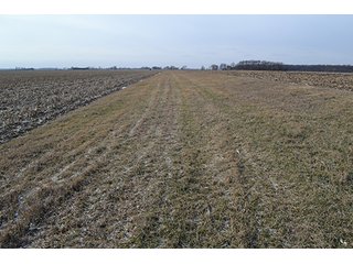 156.815+/- Acres with 147+/- Tillable Acres.  Productive soils.  South of Lowell, Indiana.  Possession at closing subject to tenant rights which expire upon harvest of 2014 crop.  

Please contact listing agent before going on property.

Tri-Creek School Corp. - 156.815+/- Acre Grain Farm