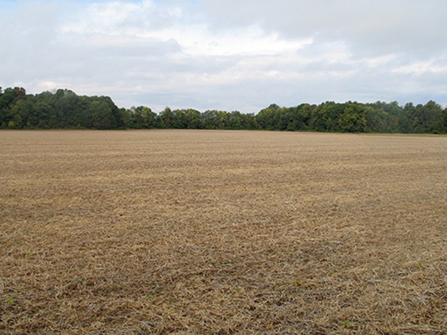 For sale: 90.141 Acres with 66.6 Tillable and the Balance in Mixed Hardwoods