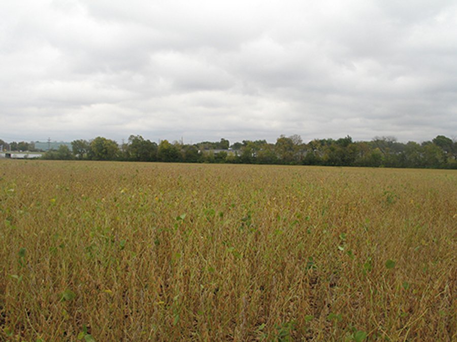 For sale: 28.46 Acres with 23.44 Acres Tillable with the Balance in Woods, Ditch & Road Frontage