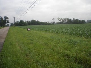 54+/- Acres with 52 acres cropland or 96% income producing acres.  Top soils.
2-1/2 miles west of Ohio line in top ag community.  Good frontage of over 1/4 mile on Fouts Road. - Productive Cropland