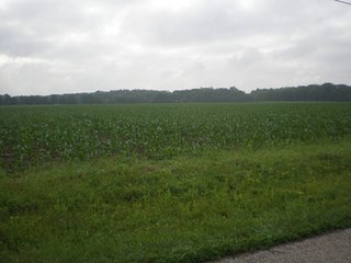 54+/- Acres with 52 acres cropland or 96% income producing acres.  Top soils.
2-1/2 miles west of Ohio line in top ag community.  Good frontage of over 1/4 mile on Fouts Road. - Productive Cropland
