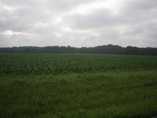 54+/- Acres with 52 acres cropland or 96% income producing acres.  Top soils.
2-1/2 miles west of Ohio line in top ag community.  Good frontage of over 1/4 mile on Fouts Road. - Productive Cropland