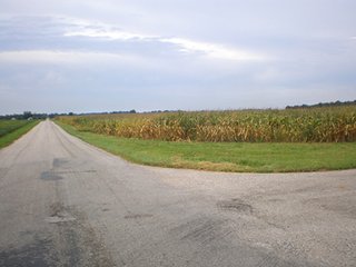 Approximately 179+ acres cropland.  Highly productive Brookston/Crosby soils.  Systematically tiled.  1/2 mile north/south rows all with frontage on County Road 500W.  Frontage on Co. Rd. 800N.  Approximately 8,000 bu.  Bin with newer electric. Investment quality tract.

Woodland for recreation and long term timber investment.

2015 Tenant's Rights Available. - 203+/- Acres in Shelby County, Indiana