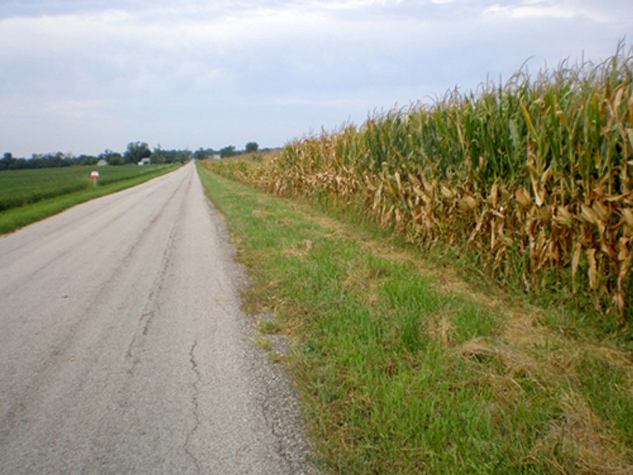 For sale: 203+/- Acres in Shelby County, Indiana - Shelbyville, IN