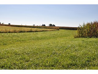 Nice 80 acre farm located a mile west of Kirklin in southern Clinton County.  Excellent road frontage along CR 580E of 2500'. - 80 Acre Clinton County Indiana Farm - Near Kirklin