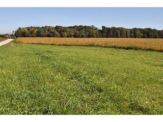 Nice 80 acre farm located a mile west of Kirklin in southern Clinton County.  Excellent road frontage along CR 580E of 2500'. - 80 Acre Clinton County Indiana Farm - Near Kirklin