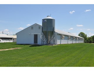 Swine operation.  Farmland has high productivity.  2013 Harvest yield was 256 bu/ac. - Swine Operation "Unit A"