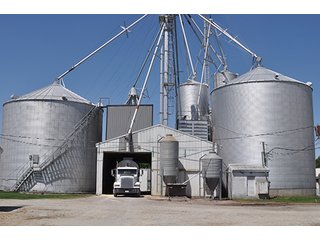 Swine operation.  Farmland has high productivity.  2013 Harvest yield was 256 bu/ac. - Swine Operation "Unit A"