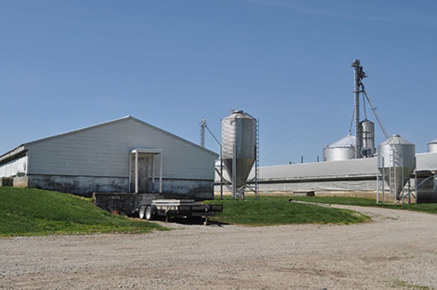 For sale: Swine Operation "Unit B" - Frankfort, Indiana