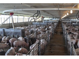 Property photo 3 - Swine Operation "Unit B"