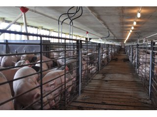 Property photo 4 - Swine Operation "Unit B"