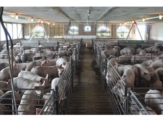 Property photo 2 - Swine Operation "Unit B"