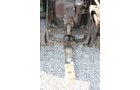 Property photo 1035 - EQUIPMENT AUCTION