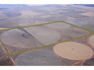 Tract 3 - LAND AUCTION,10,560+/- Acres offered in 10 Tracts