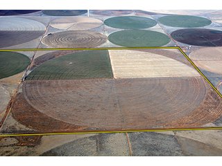Tract 4 - LAND AUCTION,10,560+/- Acres offered in 10 Tracts