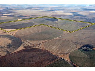 Tract 8 - LAND AUCTION,10,560+/- Acres offered in 10 Tracts