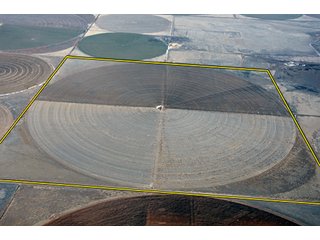 Tract 10 - LAND AUCTION,10,560+/- Acres offered in 10 Tracts