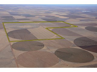 Tract 5 - LAND AUCTION,10,560+/- Acres offered in 10 Tracts