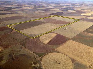 Tract 6 - LAND AUCTION,10,560+/- Acres offered in 10 Tracts