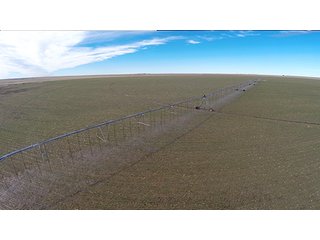 Property photo 15 - LAND AUCTION,10,560+/- Acres offered in 10 Tracts