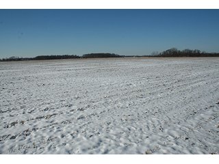 Property photo 10 - LAND AUCTION314+/- Acres offered in 2 Tracts in Bronson Twp.,71+/- Acres offered in 5 Tracts in Matteson Twp.