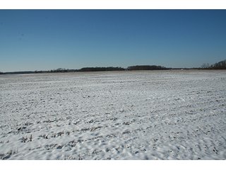 Property photo 9 - LAND AUCTION314+/- Acres offered in 2 Tracts in Bronson Twp.,71+/- Acres offered in 5 Tracts in Matteson Twp.
