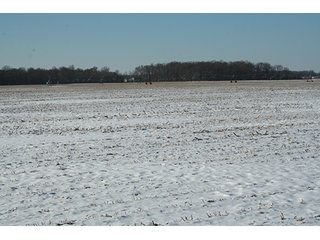 Property photo 8 - LAND AUCTION314+/- Acres offered in 2 Tracts in Bronson Twp.,71+/- Acres offered in 5 Tracts in Matteson Twp.