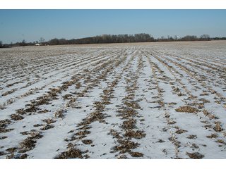 Property photo 6 - LAND AUCTION314+/- Acres offered in 2 Tracts in Bronson Twp.,71+/- Acres offered in 5 Tracts in Matteson Twp.