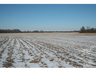 Property photo 5 - LAND AUCTION314+/- Acres offered in 2 Tracts in Bronson Twp.,71+/- Acres offered in 5 Tracts in Matteson Twp.