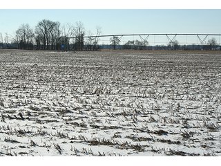 Property photo 4 - LAND AUCTION314+/- Acres offered in 2 Tracts in Bronson Twp.,71+/- Acres offered in 5 Tracts in Matteson Twp.