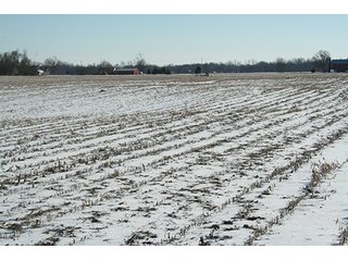 Property photo 3 - LAND AUCTION314+/- Acres offered in 2 Tracts in Bronson Twp.,71+/- Acres offered in 5 Tracts in Matteson Twp.