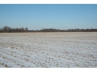 Property photo 2 - LAND AUCTION314+/- Acres offered in 2 Tracts in Bronson Twp.,71+/- Acres offered in 5 Tracts in Matteson Twp.