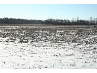 Property photo 7 - LAND AUCTION314+/- Acres offered in 2 Tracts in Bronson Twp.,71+/- Acres offered in 5 Tracts in Matteson Twp.