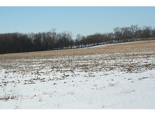 Property photo 13 - LAND AUCTION314+/- Acres offered in 2 Tracts in Bronson Twp.,71+/- Acres offered in 5 Tracts in Matteson Twp.