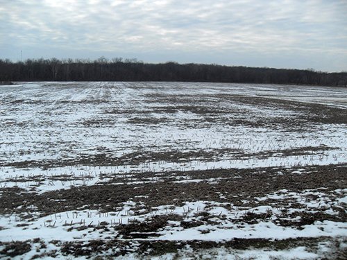 Property photo 1 - FARMLAND AUCTION, 113+/- Acres - 2 Farms in 4 Tracts