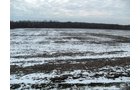 Property photo 1 - FARMLAND AUCTION, 113+/- Acres - 2 Farms in 4 Tracts