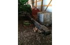 Property photo 101 - SURPLUS FARM EQUIPMENT AUCTION