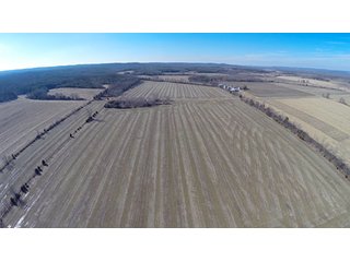 Property photo 29 - LAND AUCTION, 1,674 acres Tillable and Woodland in Clark, Jackson, Jefferson, Scott and Washington Counties, Indiana
