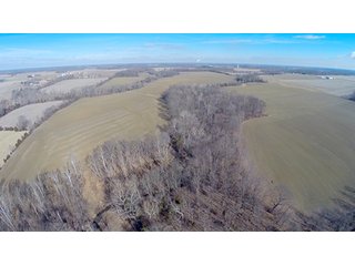 Property photo 30 - LAND AUCTION, 1,674 acres Tillable and Woodland in Clark, Jackson, Jefferson, Scott and Washington Counties, Indiana