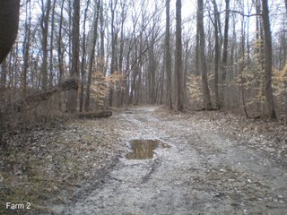 Property photo 34 - LAND AUCTION, 1,674 acres Tillable and Woodland in Clark, Jackson, Jefferson, Scott and Washington Counties, Indiana