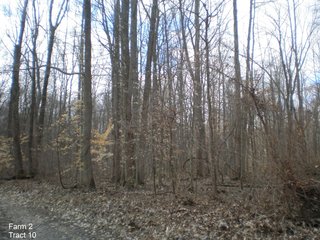 Property photo 36 - LAND AUCTION, 1,674 acres Tillable and Woodland in Clark, Jackson, Jefferson, Scott and Washington Counties, Indiana