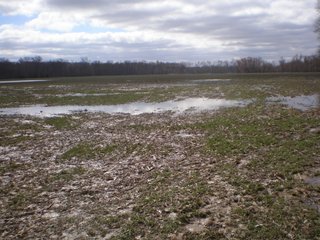 Property photo 37 - LAND AUCTION, 1,674 acres Tillable and Woodland in Clark, Jackson, Jefferson, Scott and Washington Counties, Indiana
