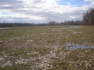 Property photo 38 - LAND AUCTION, 1,674 acres Tillable and Woodland in Clark, Jackson, Jefferson, Scott and Washington Counties, Indiana