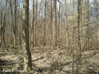 Property photo 31 - LAND AUCTION, 1,674 acres Tillable and Woodland in Clark, Jackson, Jefferson, Scott and Washington Counties, Indiana