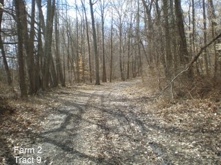 Property photo 13 - LAND AUCTION, 1,674 acres Tillable and Woodland in Clark, Jackson, Jefferson, Scott and Washington Counties, Indiana