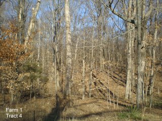 Property photo 8 - LAND AUCTION, 1,674 acres Tillable and Woodland in Clark, Jackson, Jefferson, Scott and Washington Counties, Indiana
