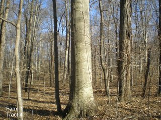 Property photo 17 - LAND AUCTION, 1,674 acres Tillable and Woodland in Clark, Jackson, Jefferson, Scott and Washington Counties, Indiana